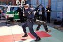 Polizeidirektion   019